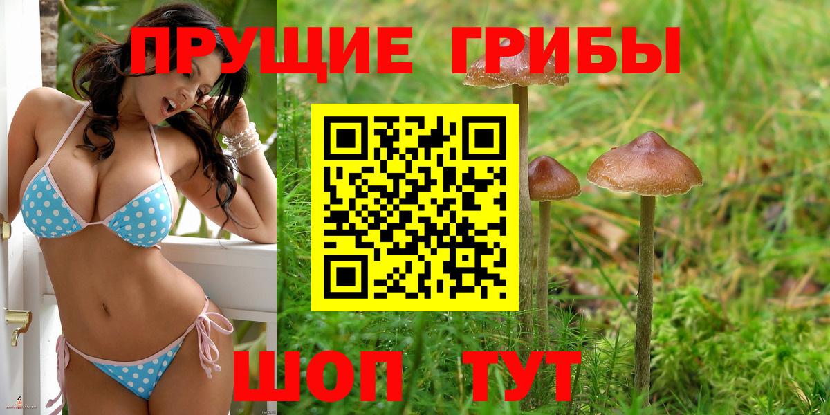 Псилоцибиновые грибы Magic Shrooms Новочеркасск