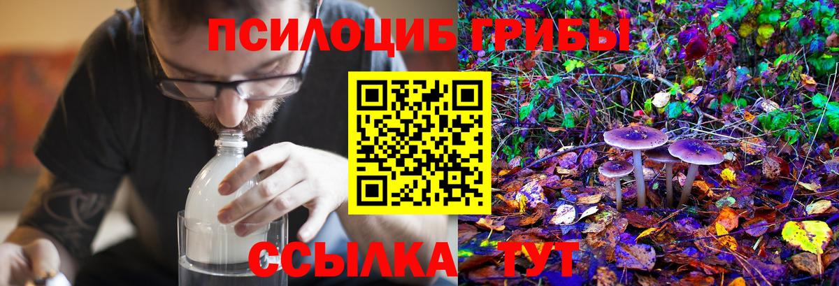 Псилоцибиновые грибы Psilocybine cubensis  Вход с VPN  магазин  наркотиков  Новочеркасск  Псилоцибиновые грибы Psilocybine cubensis 